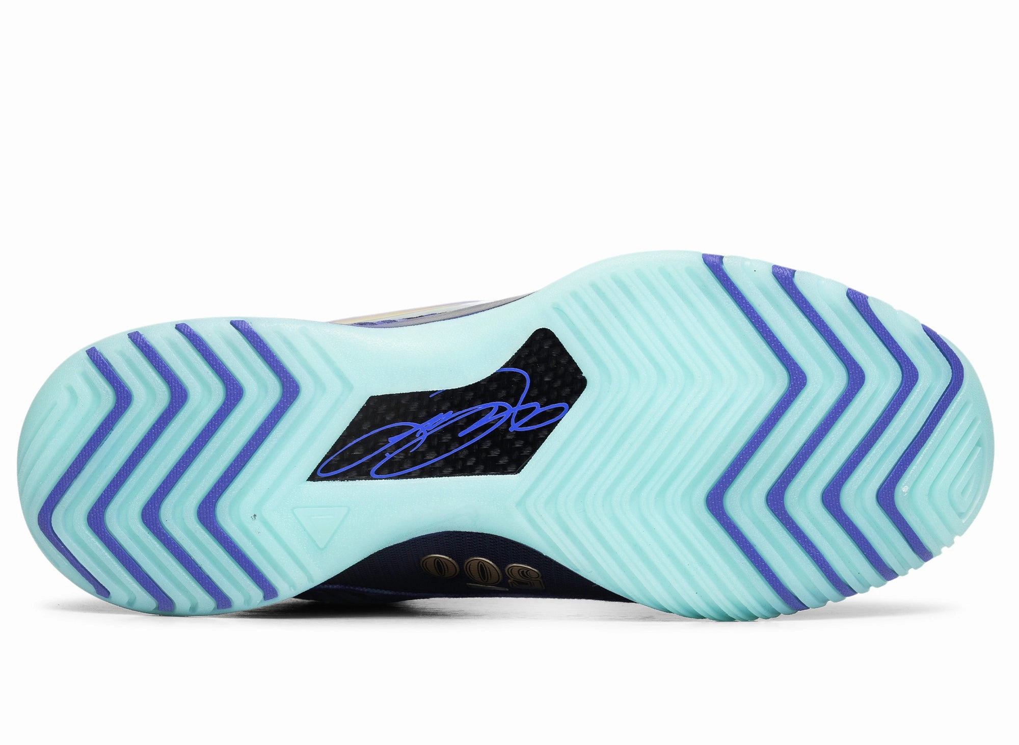 Nike Lebron NXXT Genisus EP xld